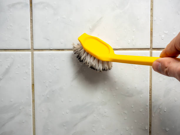Best Mold Damage Repair  in Oakhurst, CA