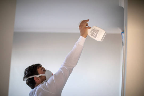 Best Mold Removal Company Near Me  in Oakhurst, CA
