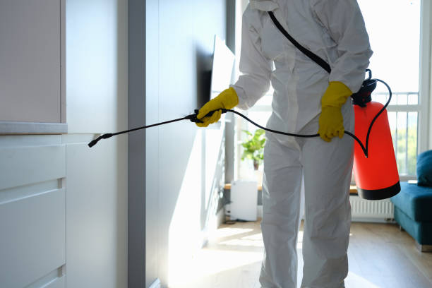 Best Crawl Space Mold Removal  in Oakhurst, CA