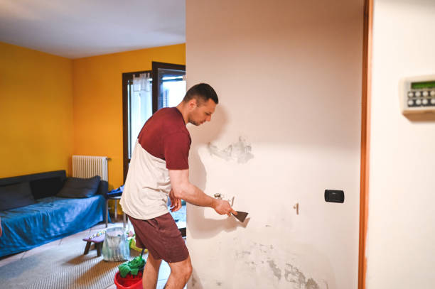 Best Local Mold Removal Service  in Oakhurst, CA